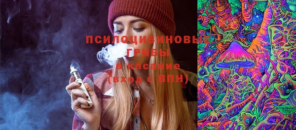 apvp Верхний Тагил